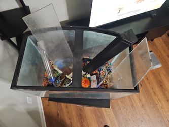 40 Gallon Fish Tank