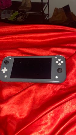 Switch lite