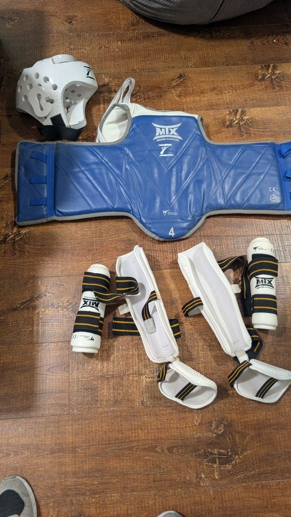 Taekwondo sparring Equipment