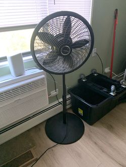 Lasko Black Pedestal Standing Fan