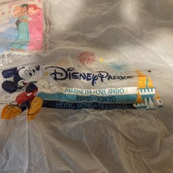 Disney Land Rain Ponchos 