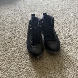 Jordan 12s