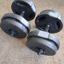 Workout 20lb Dumbbells 