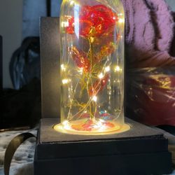 Mothers Day Gifts