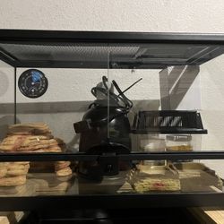 Reptile Tank (10 Gallon) With Accessories 