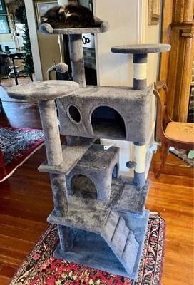 Cat House / Tree Tower