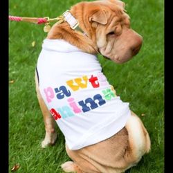 Packed Party Dog Hoodie Medium Shirt “Pawty Animal”  17” Back  length, 43.1 cm W