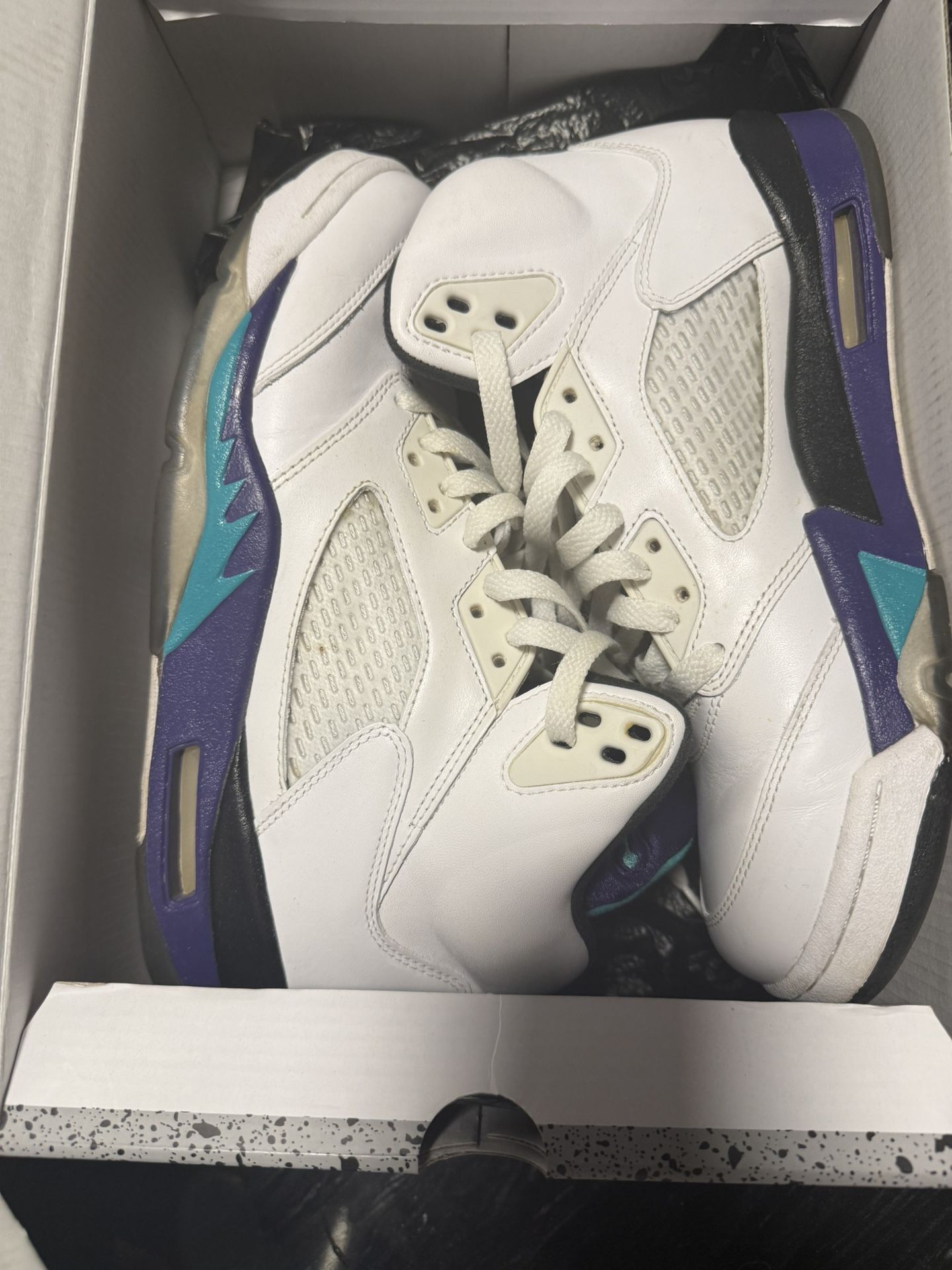 Jordan Grape 5s