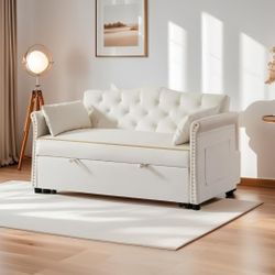 Sofa Couch With Pull Out Bed 