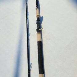 Casting Phenix Trifecta 9' 10-30lb