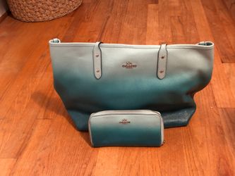 COACH purse and wallet