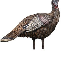 AVIAN-X LCD Lookout Hen Turkey Decoy | Durable Realistic Lifelike Collapsible Standing Hunting Decoy with Carry Bag & Stake, AVX8006 Nuevo 