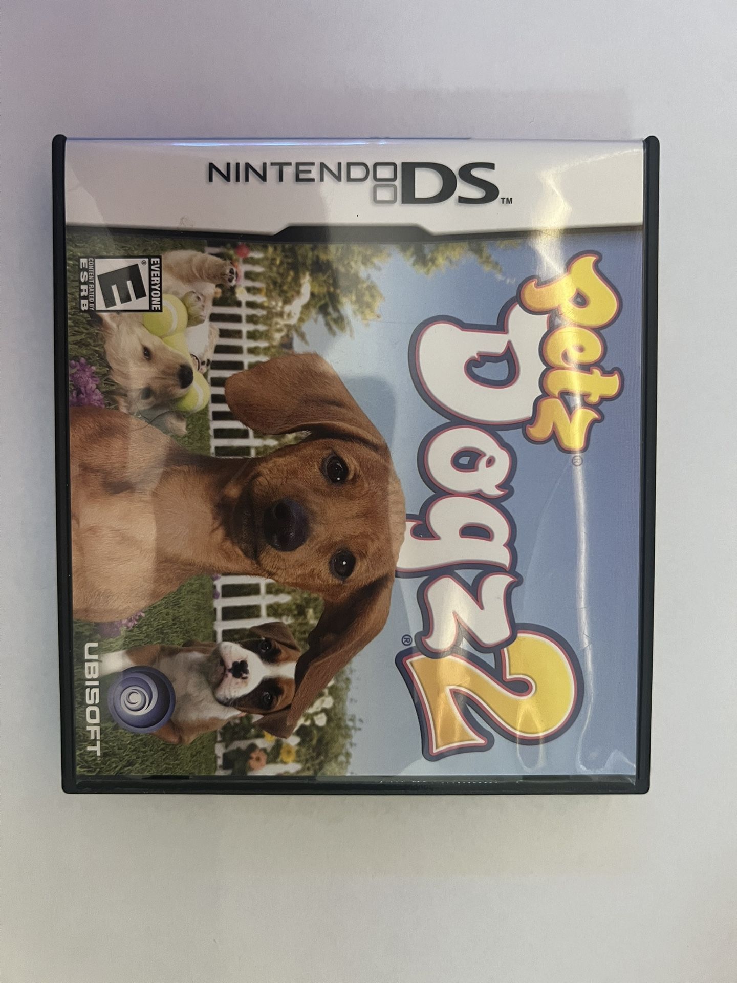 Nintendo Ds Game