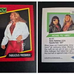 1991 Vintage WcW Trading Cards