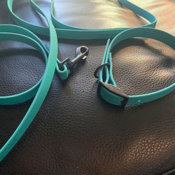 Turquoise Dog Leash And Collar 