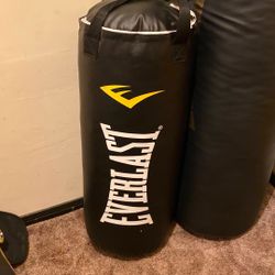 Everlast Punching Bag 