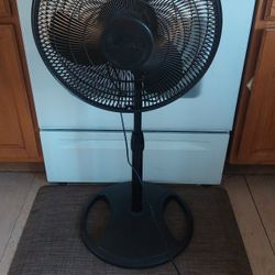 Fan