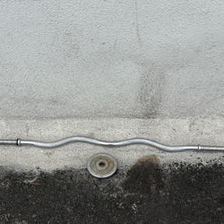 Curl bar and one weight plate 47" long