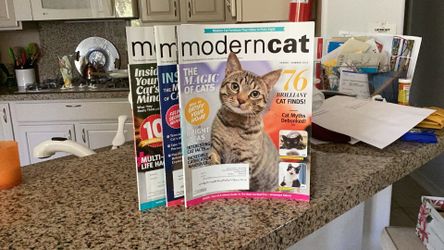 Free Modern Cat  Magazines  (3)