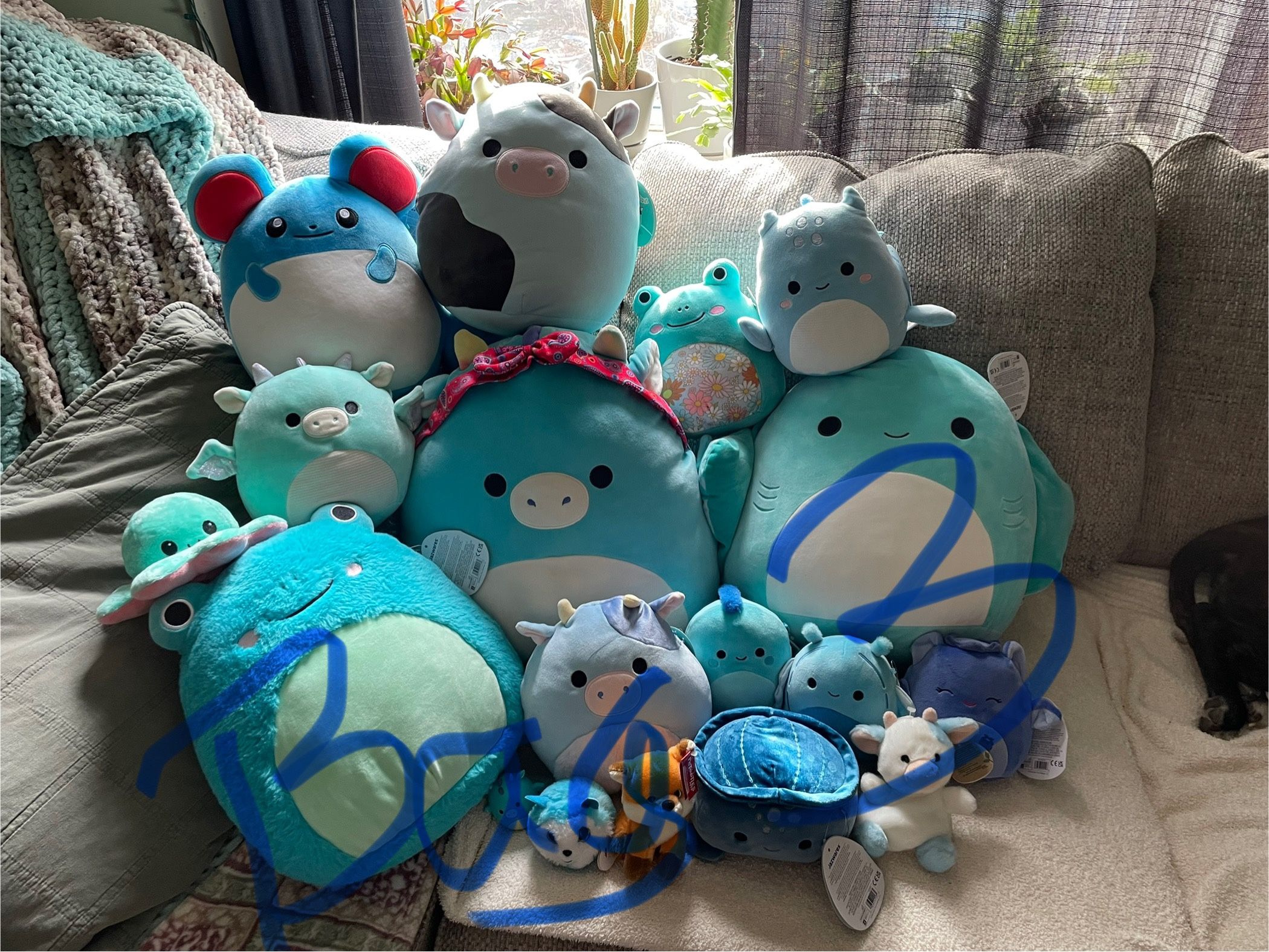 Bag Full Of Squishmallow And Some Other Plushies