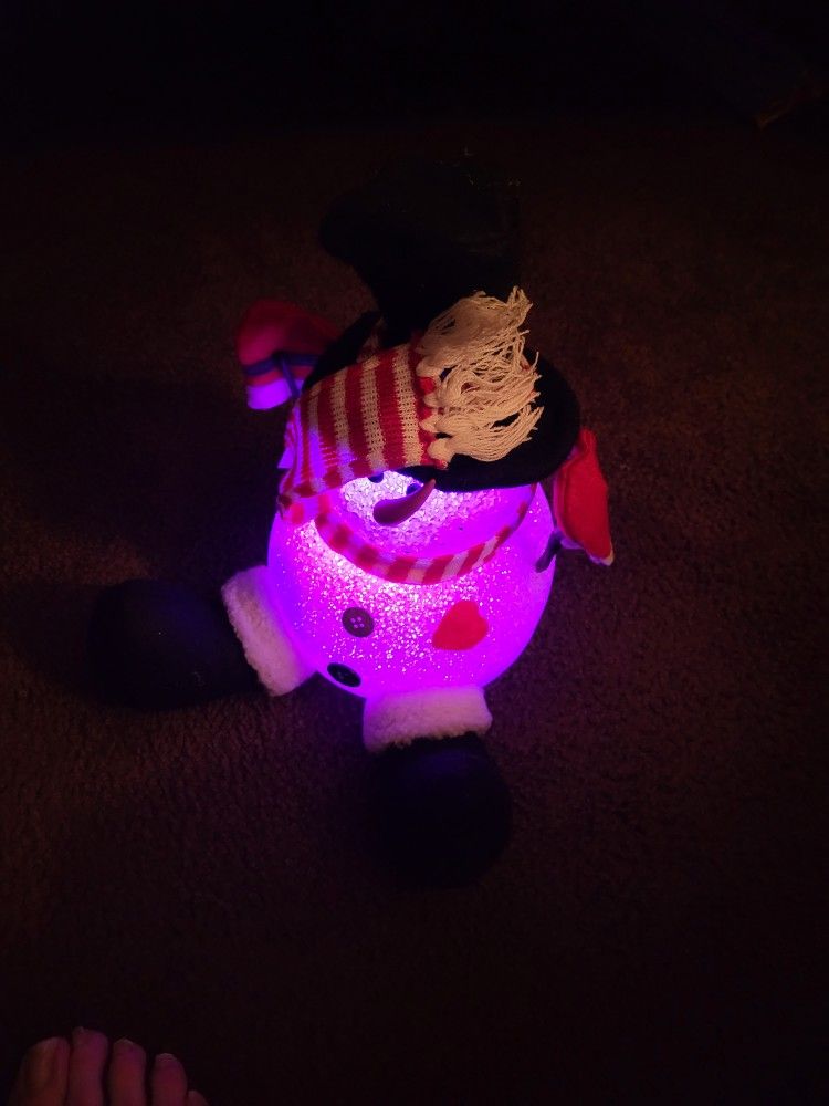 Light Changing Snowman