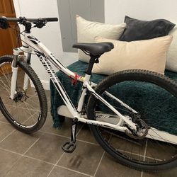 Specialized Mountain Bike