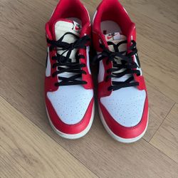 Nike Dunks Size 15
