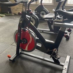 Sunny Stationary Bike