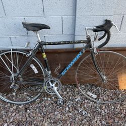 Schwinn Bike