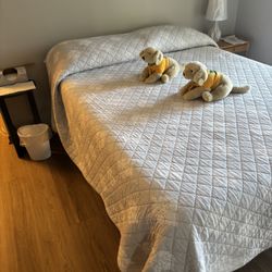 Full-size Medical Bed- Electric-Adjustable 