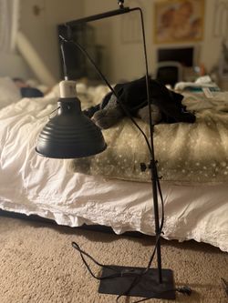 Reptile Dome With Stand And Heat Bulb