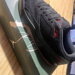 Jordan’s Flight Court Size 12