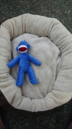 Like New Pet Bed and Toy