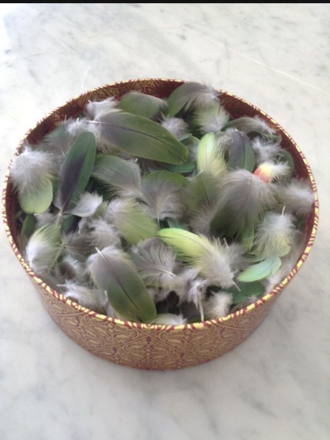 Feathers for jewelry , all for $15, around 250 feathers
