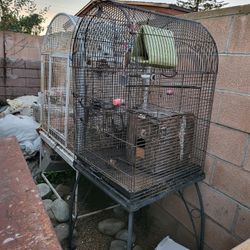 Bird Cage For Sale