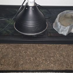 Reptile Tank