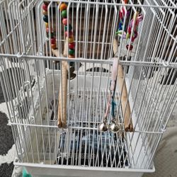 Bird Cage 