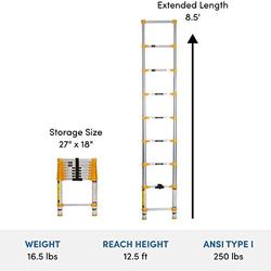 Extendable Ladder