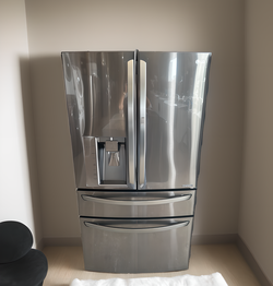 LG 4-Door Stainless Steel Refrigerator Fridge
