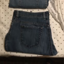 Two pairs of gloria Vanderbilt pants