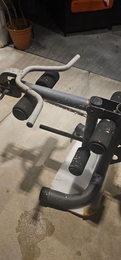 Quad and bicep restore project for you