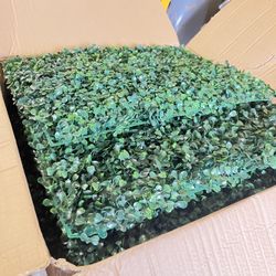 Paneles De Sespe  Lote