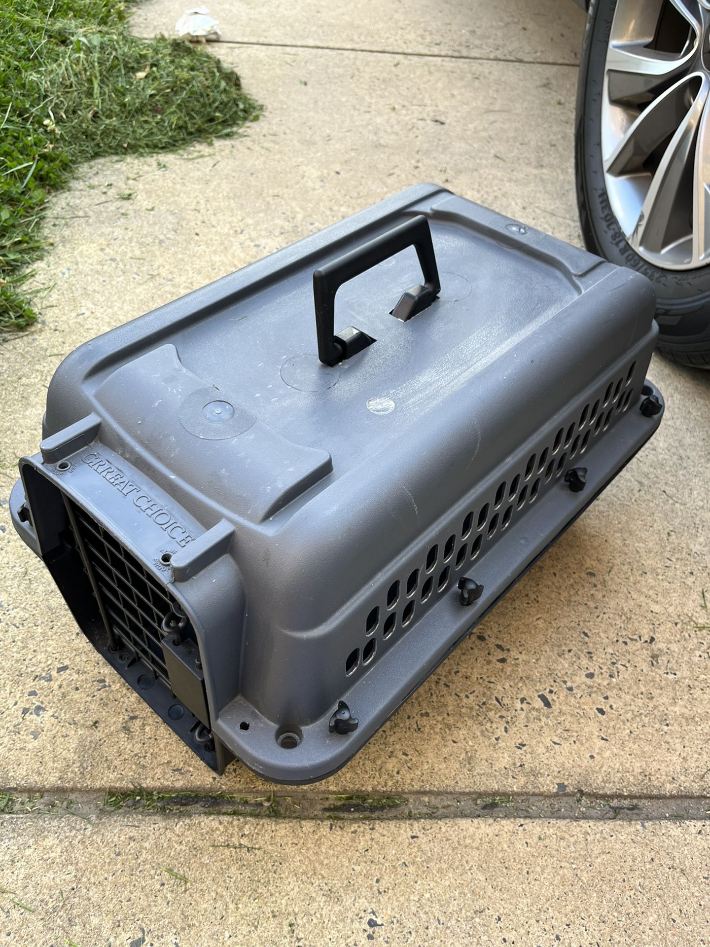 Small Pet Transporter