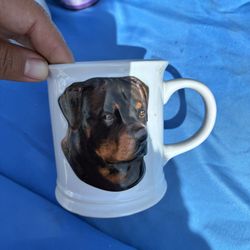 Cup