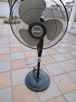 Fan