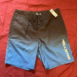 Men’s Hollister Swim Trunks 