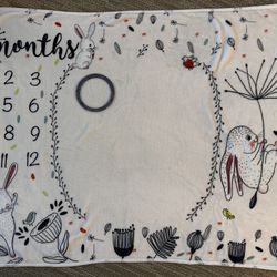 Baby Monthly Milestone Blanket