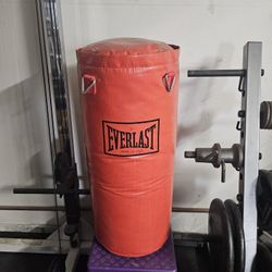 Everlast Punching/Kick Bag