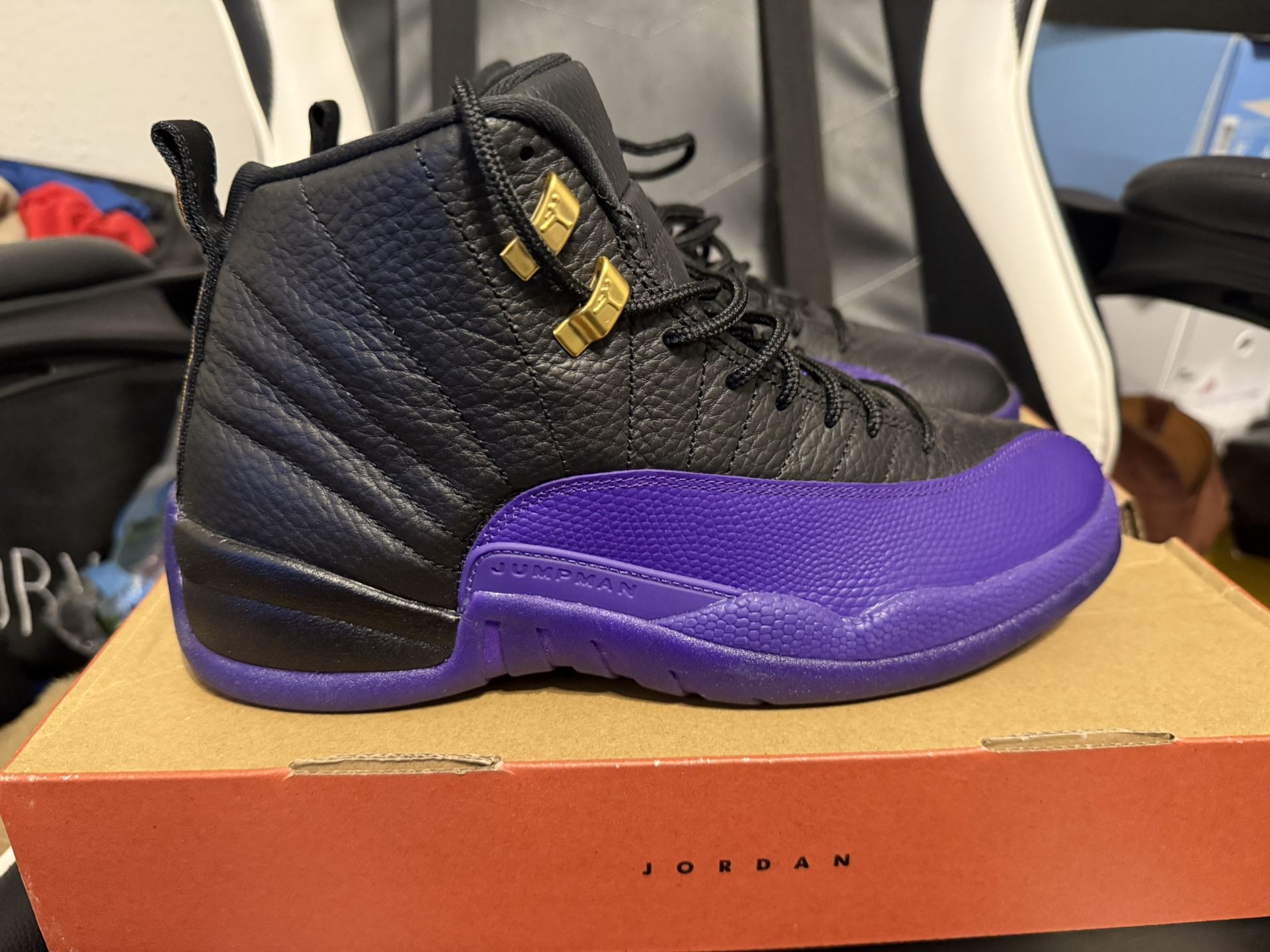 Air Jordan 12 Field Purple Size 8.5