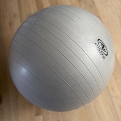 Workout Exercise Ball Chair Silver
